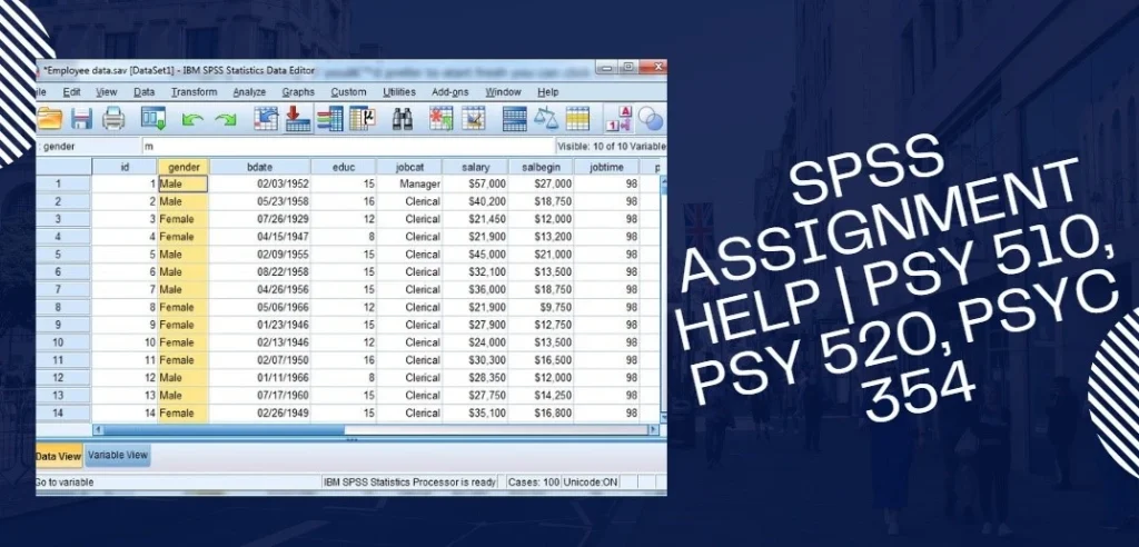 SPSS assignment help