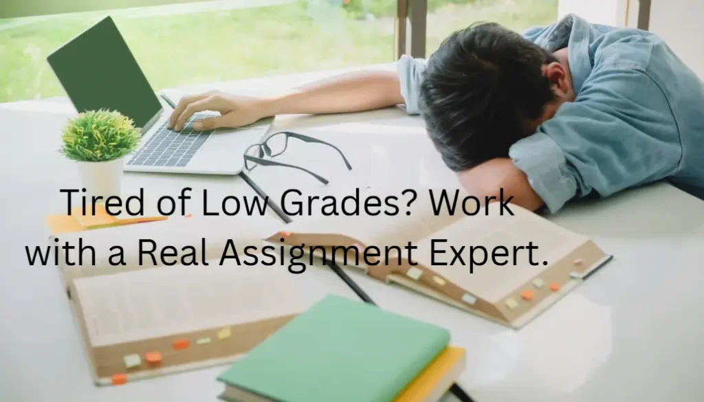 assignment writer